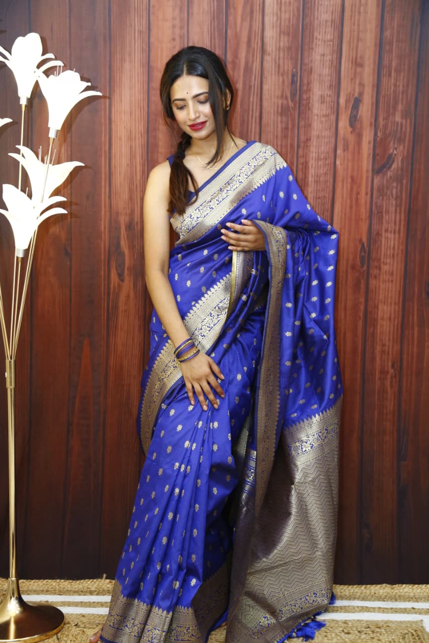 Traditional Saree