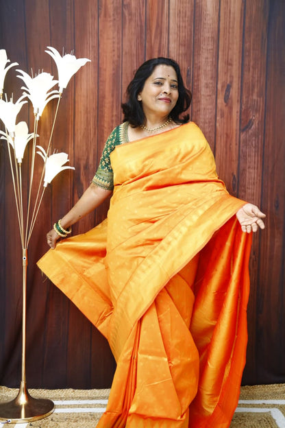 Traditional Saree
