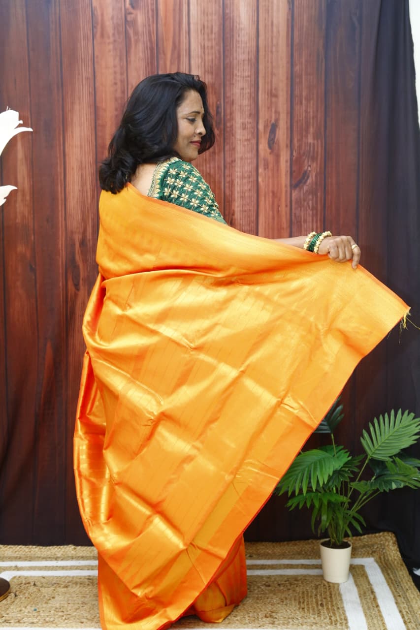 Traditional Saree